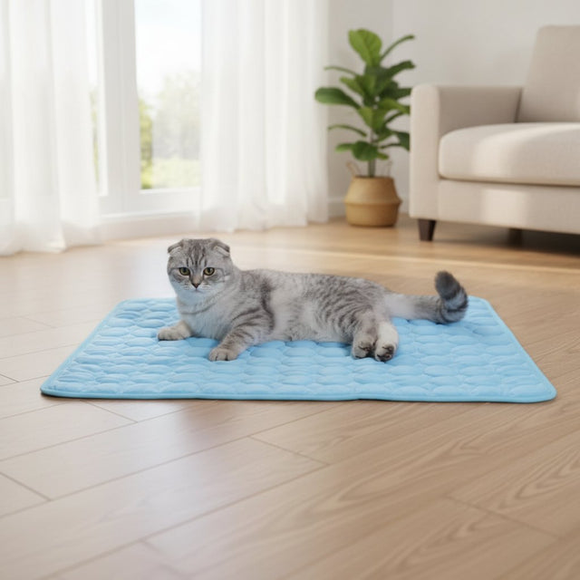 FrostPaw™ — Self-Cooling Pet Mat for Dogs & Cats