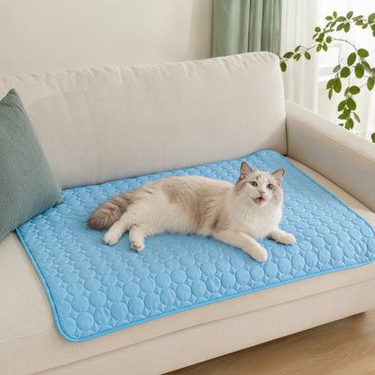 Chat sur le tapis FrostPaw posé sur un canapé