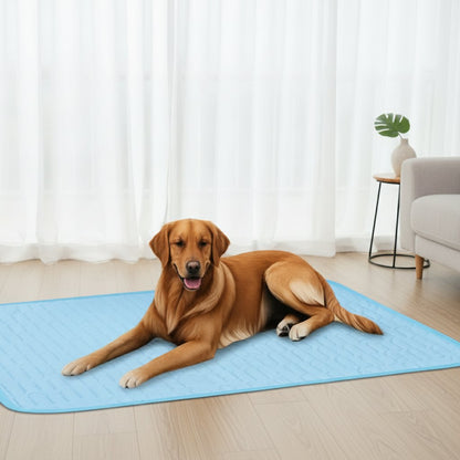 Chien allongé sur le tapis rafraîchissant FrostPaw