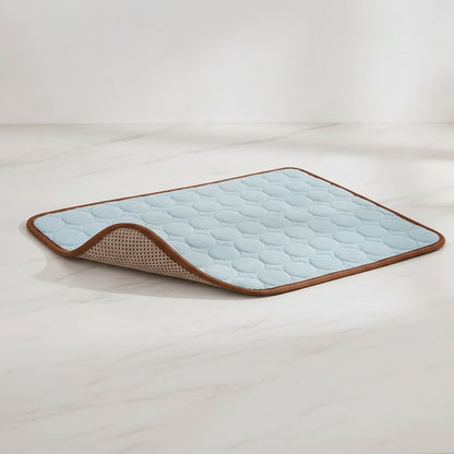 Dessous mesh respirant du tapis FrostPaw