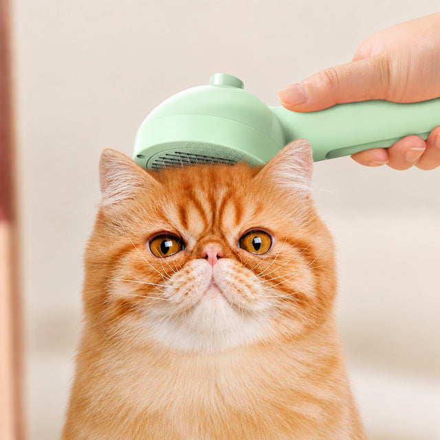 FurMist™ Original — Brosse vapeur anti-poils