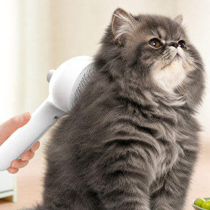 FurMist — chat gris à poils longs brossé en douceur