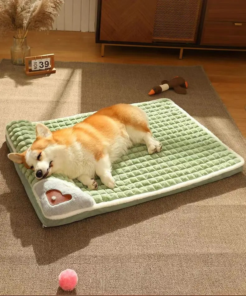 Chien endormi sur le lit à mémoire de forme