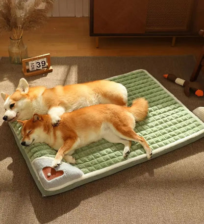 Deux chiens dorment paisiblement sur Le Nuage