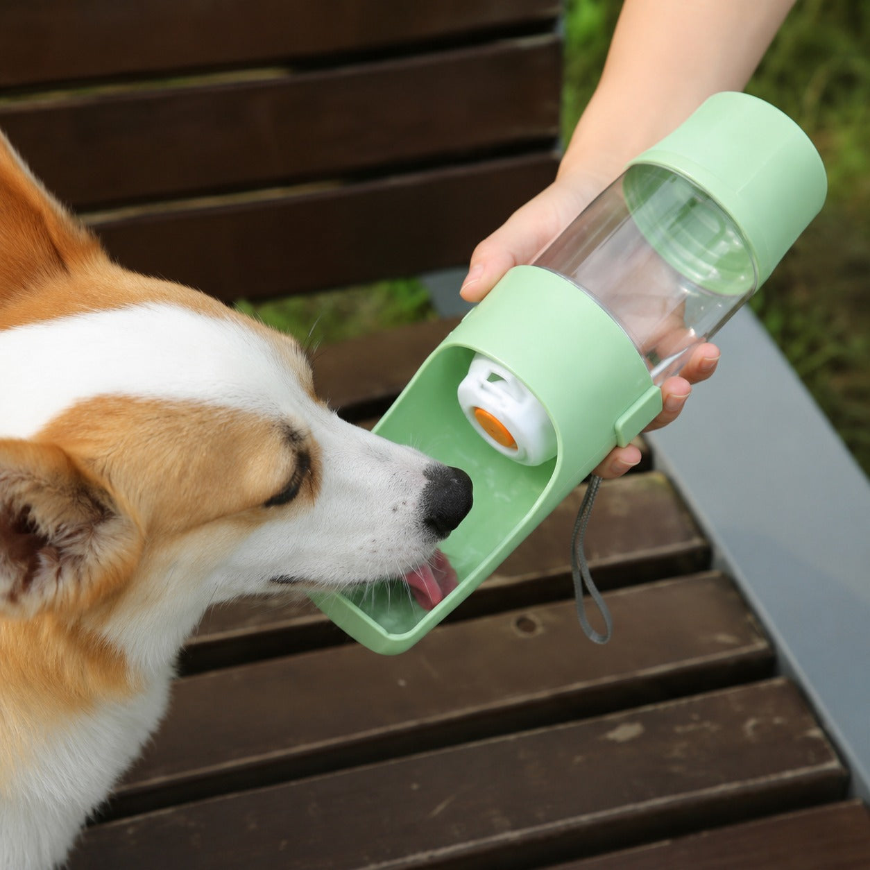 Portable HydroNomade dog travel water bottle with built-in treat container being used outdoors.
