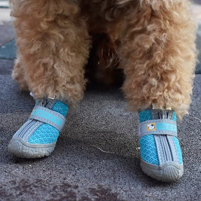 TrekPaws™ — Bottines de protection toutes saisons